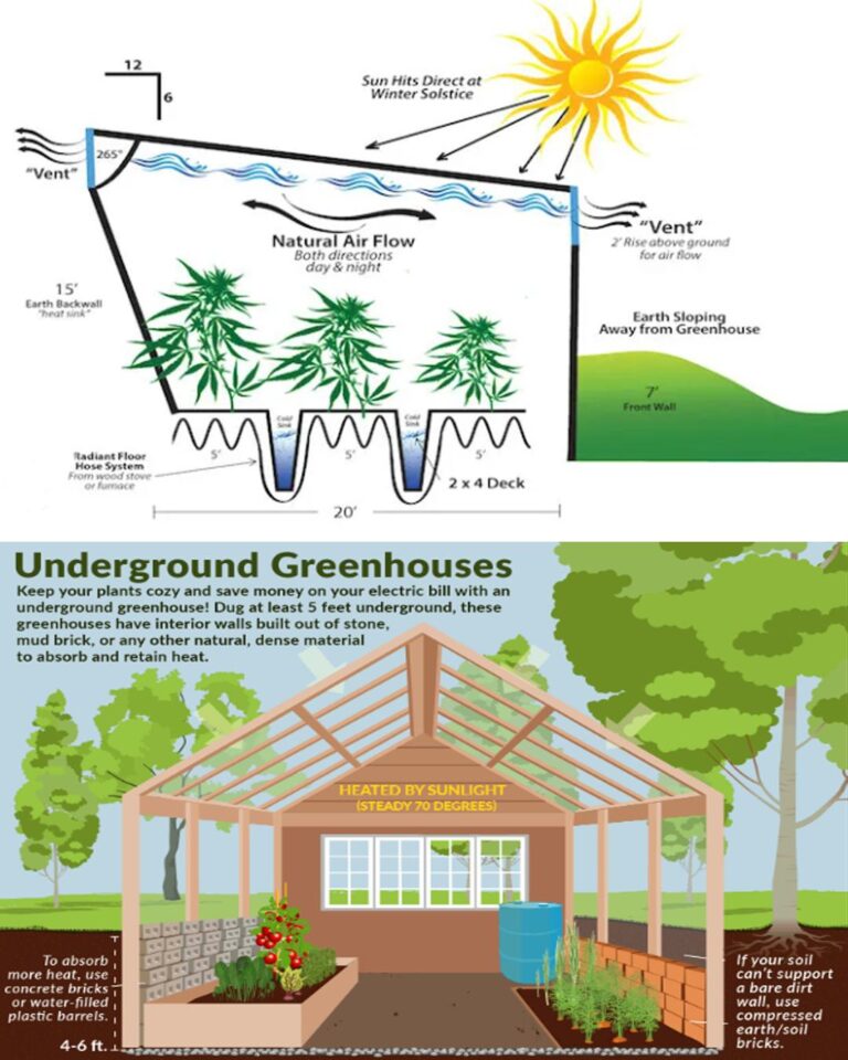 434499666 122135276582113113 5689179999442784047 n 768x960