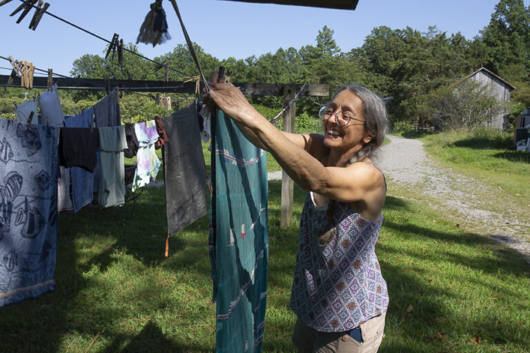 BD LSamama 1223 768x512