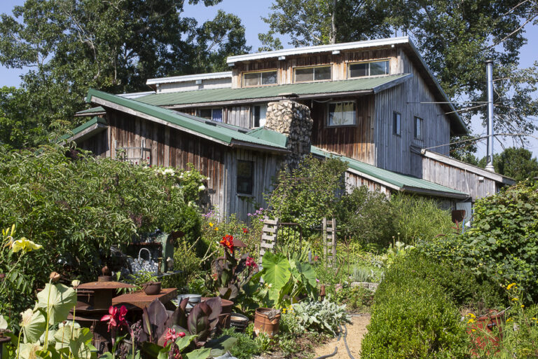 BD LSamama 1297 768x512