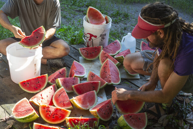 LD LSamama 1474 768x512